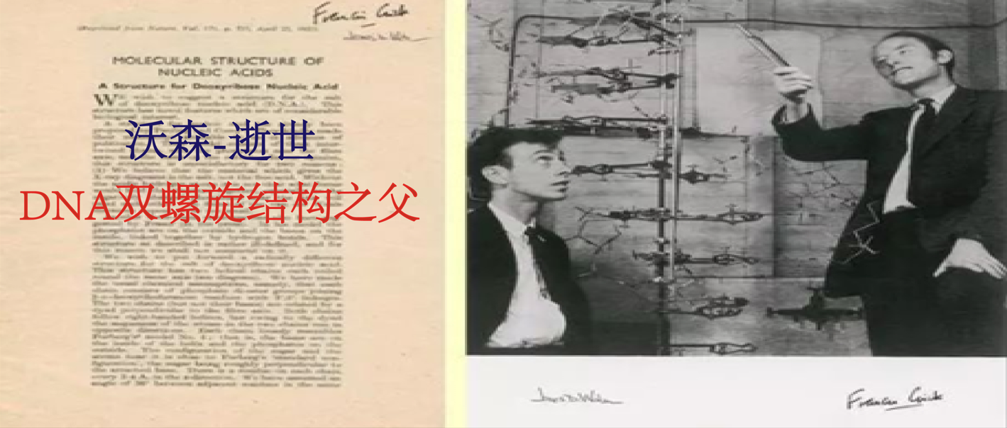一页纸发表Nature揭秘DNA双螺旋结构之父--沃森逝世