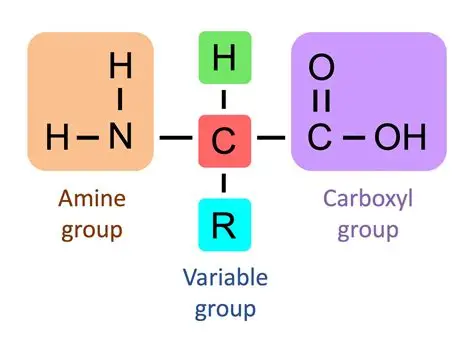 image1.png
